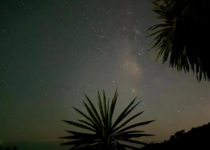 Casa Concha Mariposaholidays Nerja